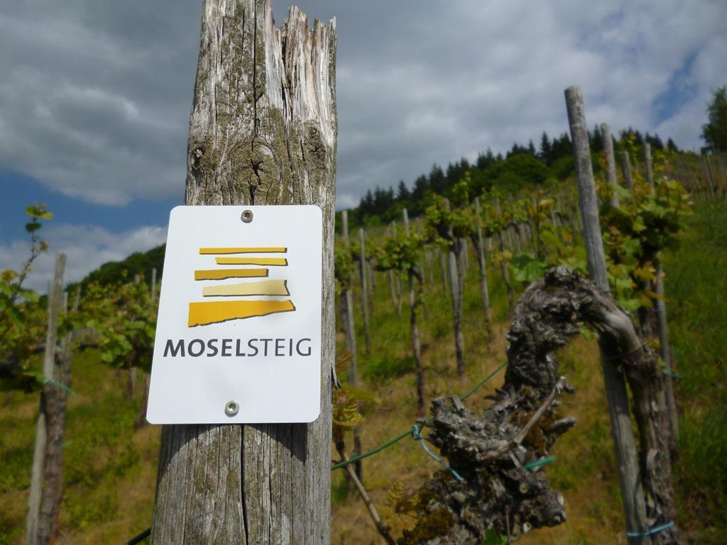 Hotel "Zur Moselterrasse" Palzem Exterior foto